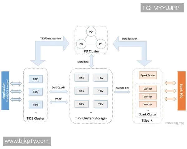 独家解析：JDG战术布局与对手策略的深度对比分析